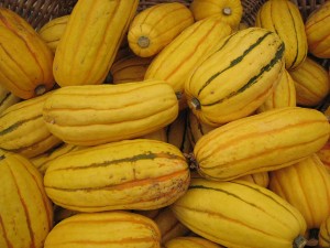 delicata